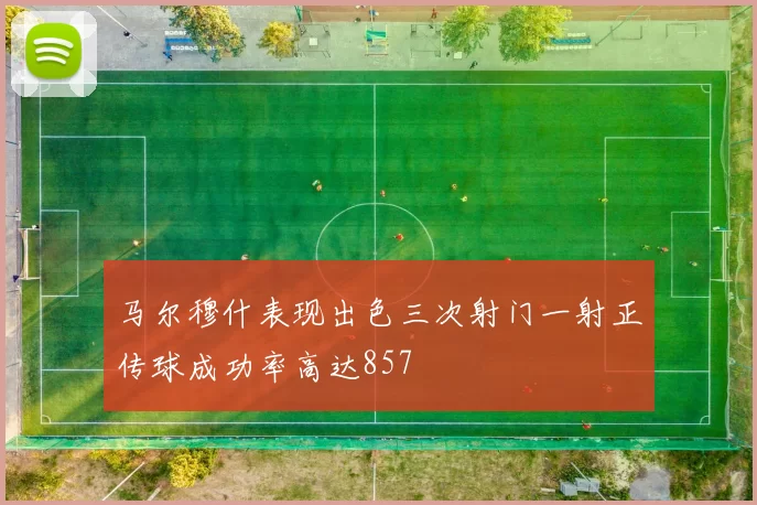 马尔穆什表现出色三次射门一射正传球成功率高达857